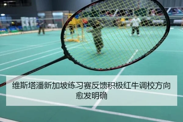 维斯塔潘新加坡练习赛反馈积极红牛调校方向愈发明确