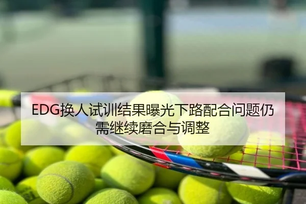 EDG换人试训结果曝光下路配合问题仍需继续磨合与调整