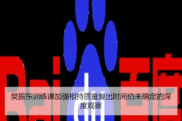樊振东训练课加强相持质量复出时间仍未确定的深度观察